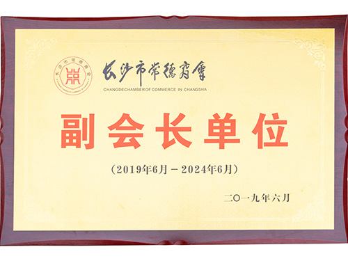荣誉证书(3)
