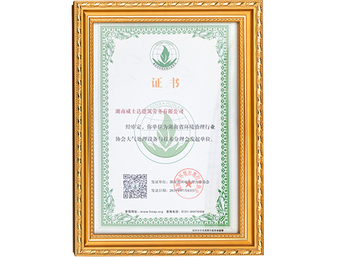 荣誉证书(6)